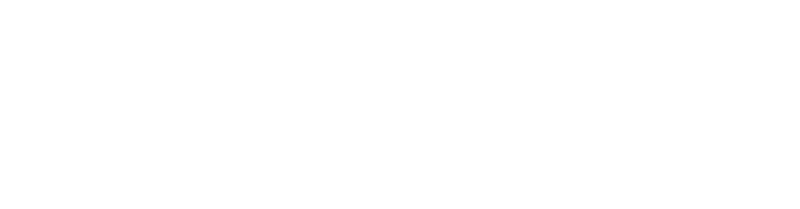 IPSOA